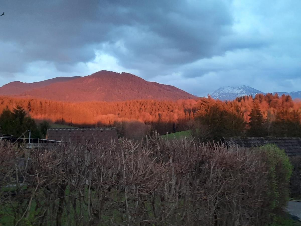 Haus Mit Bergblick Villa Siegsdorf Bagian luar foto