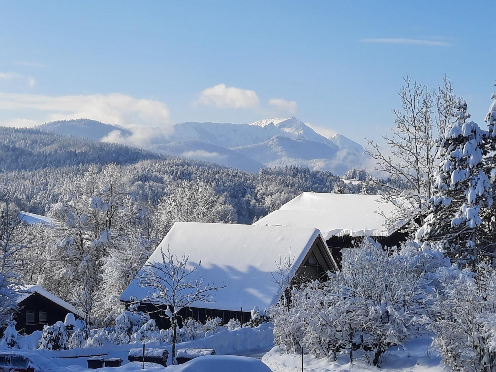 Haus Mit Bergblick Villa Siegsdorf Bagian luar foto
