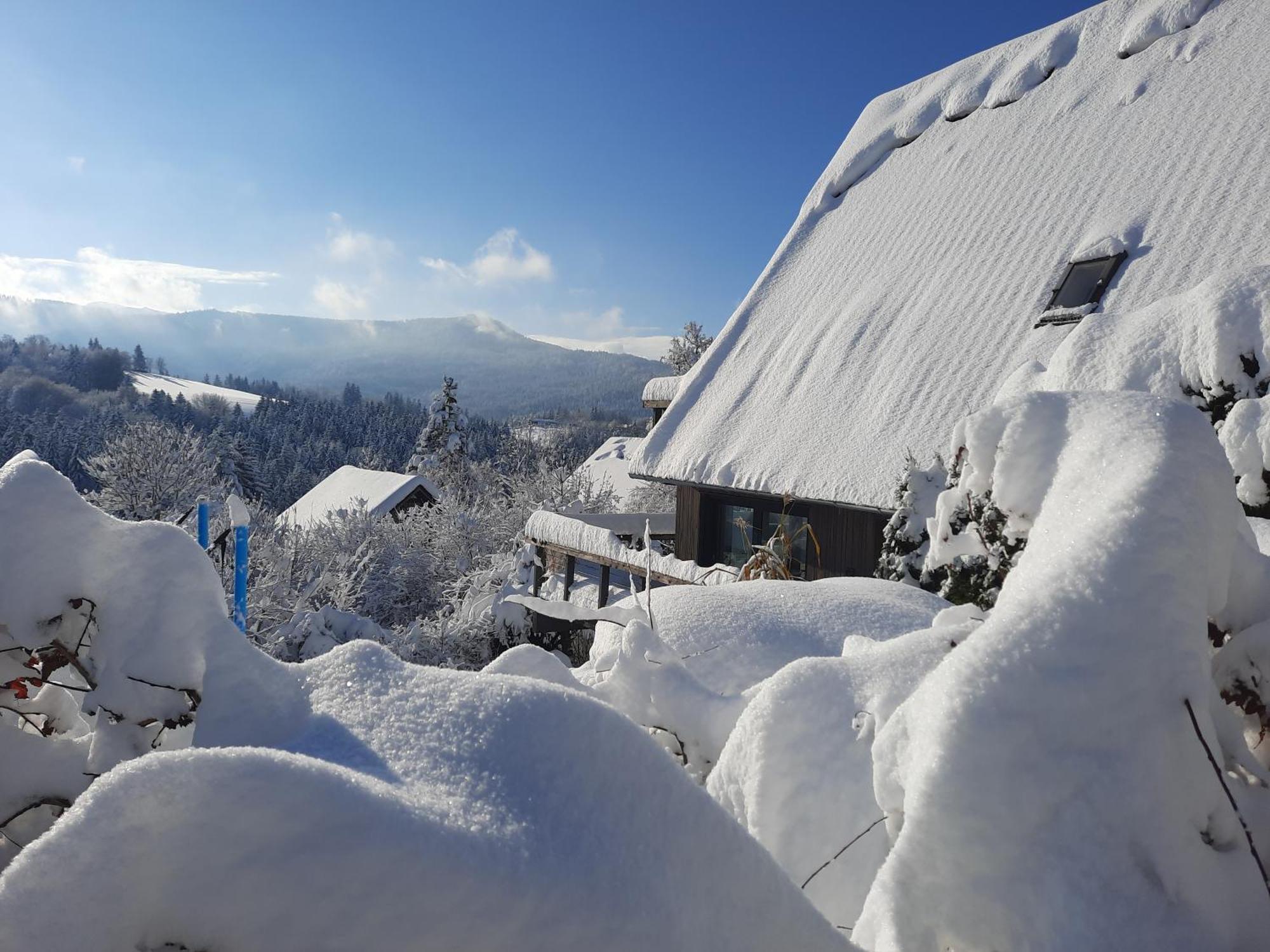Haus Mit Bergblick Villa Siegsdorf Bagian luar foto